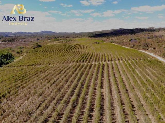 Sítio e chácara venda em Região Geográfica Imediata de Águas Lindas de Goiás, Região Integrada de Desenvolvimento do Distrito Federal e Entorno