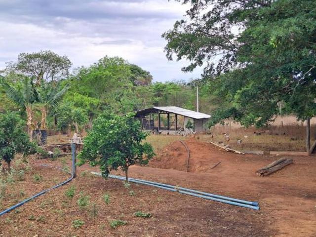 Sítio e chácara venda em Planaltina, Região Geográfica Intermediária de Luziânia-Águas Lindas de Goiás