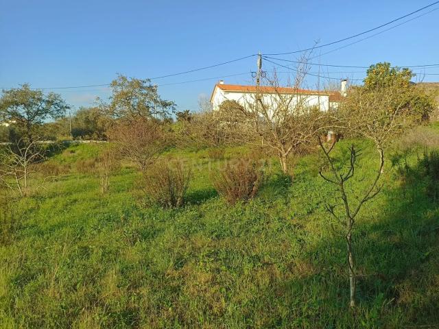 Terreno venda em Pombal, Vila Cã