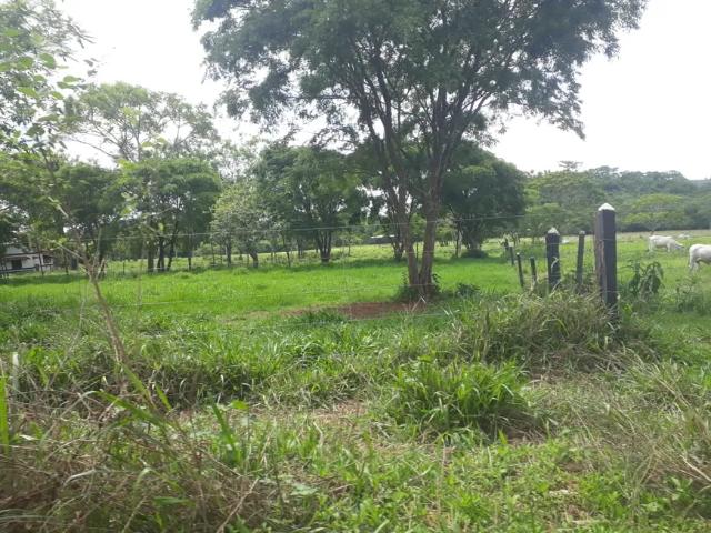 Fazenda venda em Região Geográfica Imediata de Sete Lagoas, Araçaí