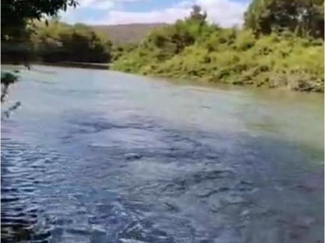 Sítio e chácara venda em Região Geográfica Imediata de Flores de Goiás, São João d'Aliança