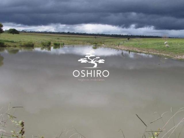 Sítio e chácara venda em Região Geográfica Imediata de Goiás - Itapuranga, Araguapaz