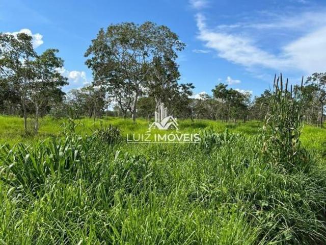 Sítio e chácara venda em Região Geográfica Imediata de Patos de Minas, Brasilândia de Minas