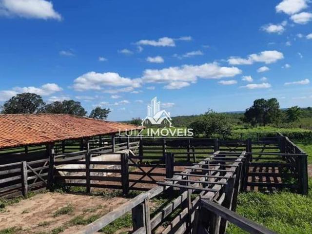 Sítio e chácara venda em Região Geográfica Imediata de Pirapora, Pirapora