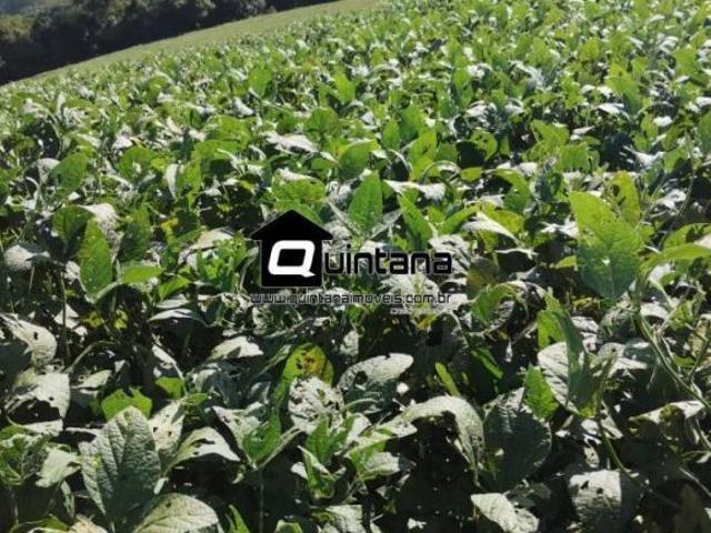 Sítio e chácara venda em Região Geográfica Imediata de Pelotas, Piratini