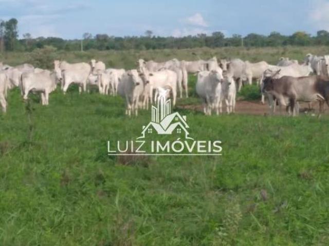 Sítio e chácara venda em Região Geográfica Imediata de Pirapora, Buritizeiro