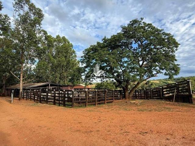 Sítio e chácara venda em Região Geográfica Imediata de Montes Claros, Montes Claros