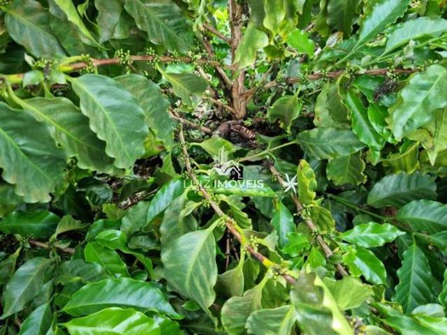 Sítio e chácara venda em Região Geográfica Imediata de Patos de Minas, João Pinheiro