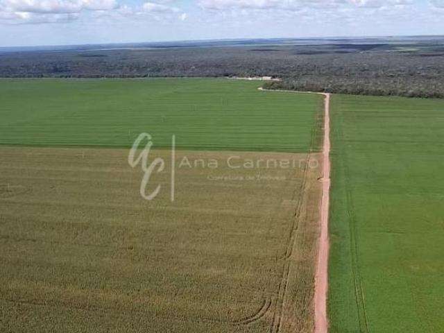 Sítio e chácara venda em Região Geográfica Imediata de Tangará da Serra, Campo Novo do Parecis