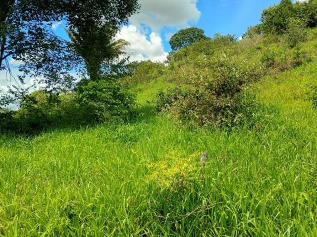 Sítio e chácara venda em Região Geográfica Imediata de Águas Lindas de Goiás, Região Integrada de Desenvolvimento do Distrito Federal e Entorno