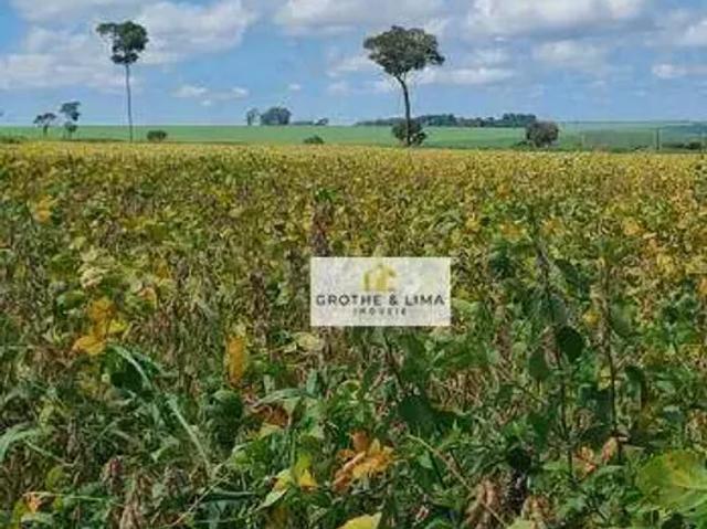 Fazenda venda em Região Imediata de Presidente Prudente, Presidente Prudente