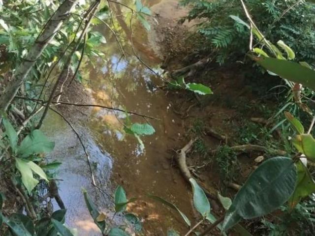 Sítio e chácara venda em Região Geográfica Imediata de Unaí, Arinos