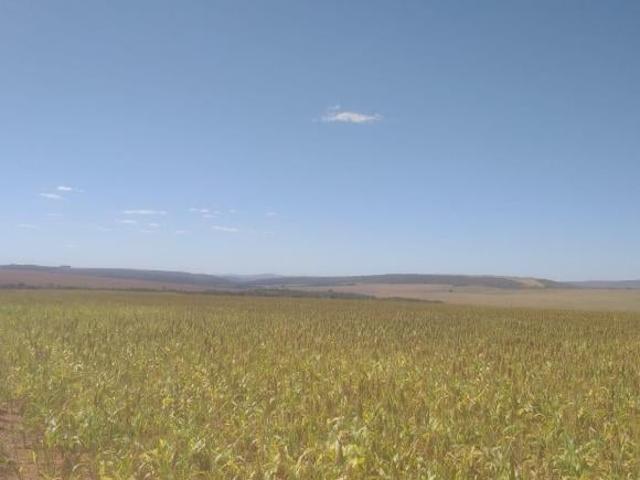 Sítio e chácara venda em Região Geográfica Imediata de Flores de Goiás, Região Integrada de Desenvolvimento do Distrito Federal e Entorno