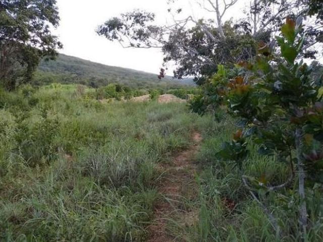 Sítio e chácara venda em Região Geográfica Imediata de Unaí, Região Integrada de Desenvolvimento do Distrito Federal e Entorno
