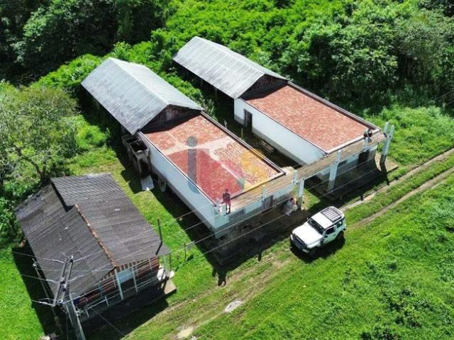 Fazenda venda em Região Geográfica Imediata de Eunápolis - Porto Seguro, Eunápolis