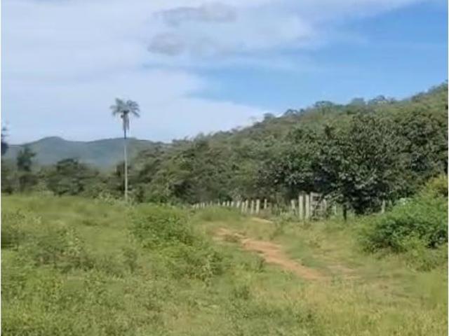 Sítio e chácara venda em Região Geográfica Imediata de Porangatu, Minaçu