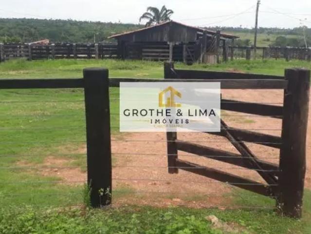 Fazenda venda em Região Geográfica Imediata de Araguaína, Araguaína