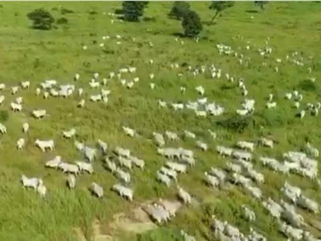 Sítio e chácara venda em Região Geográfica Imediata de Posse-Campos Belos, Alvorada do Norte