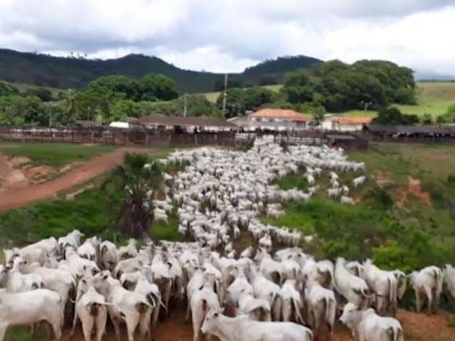Sítio e chácara venda em Região Geográfica Imediata de Jataí-Mineiros, Caiapônia