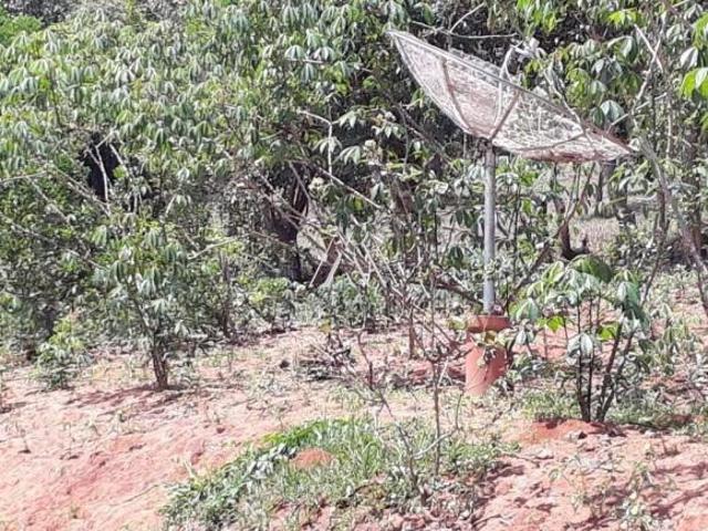 Sítio e chácara venda em Itaguara, Região Geográfica Intermediária de Divinópolis
