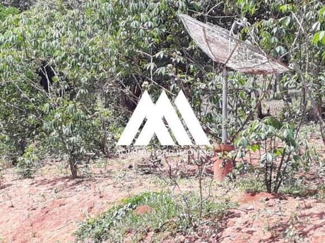 Sítio e chácara venda em Região Geográfica Imediata de Oliveira, Região Metropolitana de Belo Horizonte