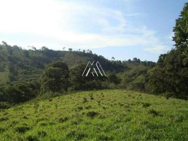 Sítio e chácara venda em Crucilândia, Região Geográfica Intermediária de Divinópolis