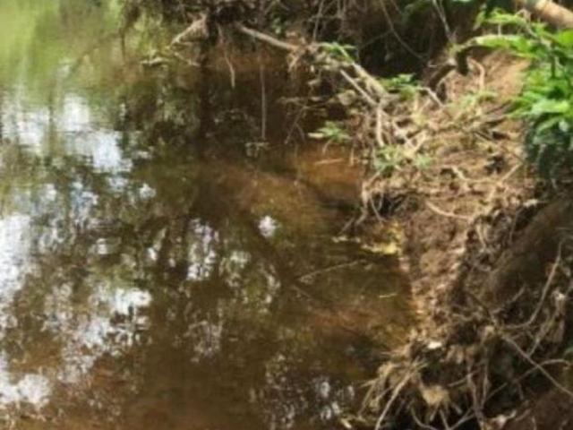 Sítio e chácara venda em Região Geográfica Imediata de Patos de Minas, João Pinheiro