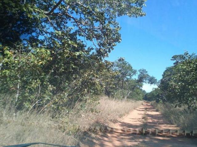 Sítio e chácara venda em Região Geográfica Imediata de Patos de Minas, João Pinheiro