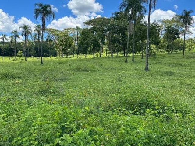 Sítio e chácara venda em Região Geográfica Imediata de Águas Lindas de Goiás, Região Integrada de Desenvolvimento do Distrito Federal e Entorno