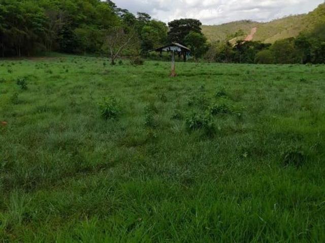 Sítio e chácara venda em Região Geográfica Imediata de Garanhuns, Região Nordeste
