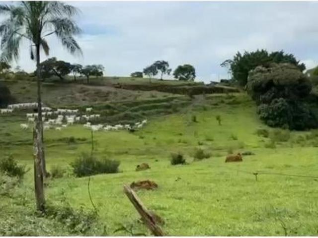 Sítio e chácara venda em Região Geográfica Imediata de Luziânia, Região Integrada de Desenvolvimento do Distrito Federal e Entorno