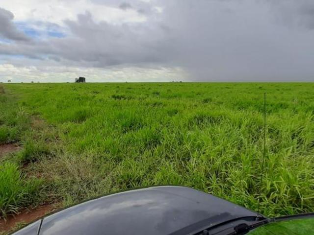 Sítio e chácara venda em Região Geográfica Imediata de São Francisco, Chapada Gaúcha