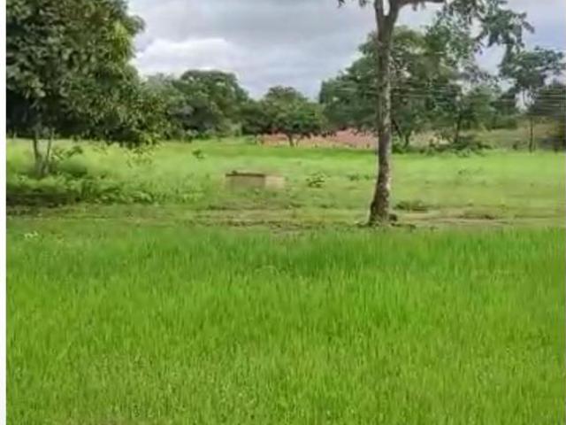 Sítio e chácara venda em Região Geográfica Imediata de Uruaçu - Niquelândia, Campinorte