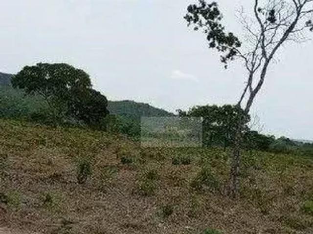 Fazenda venda em Região Geográfica Imediata de Gurupi, Parana