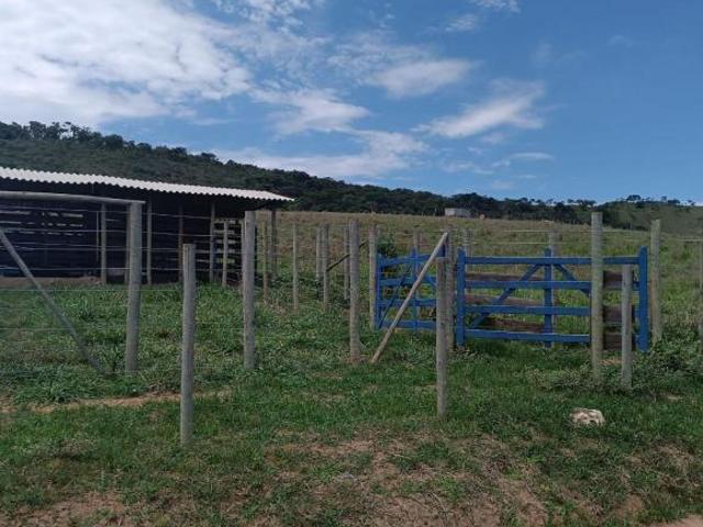 Sítio e chácara venda em Região Geográfica Imediata de Oliveira, Crucilândia