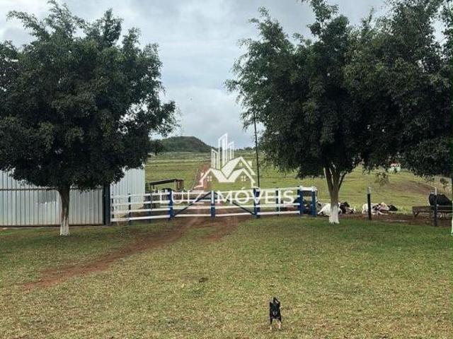 Sítio e chácara venda em Serra do Moinho, Tiros