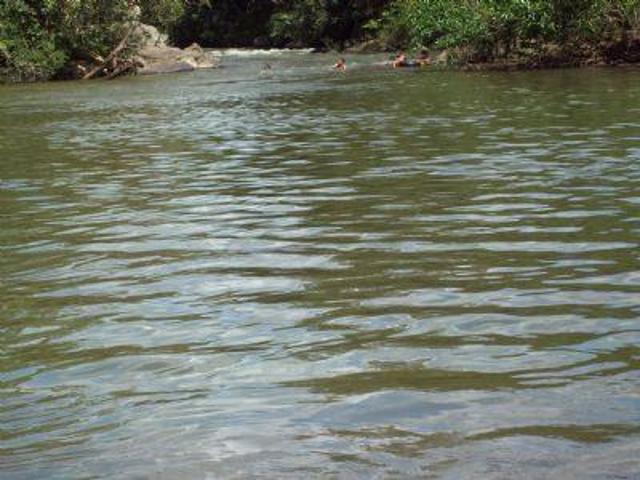 Sítio e chácara venda em Caldas Novas, Região Geográfica Intermediária de Itumbiara