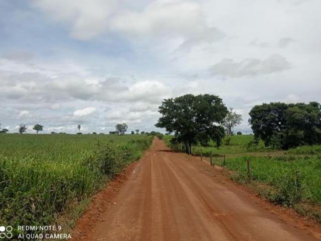 Sítio e chácara venda em Região Geográfica Imediata de Flores de Goiás, Flores de Goiás