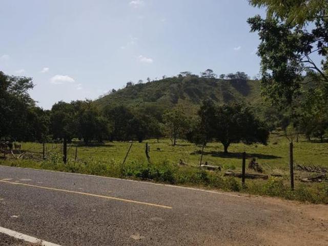 VENDO FINCA 117 HECTAREAS TITULADAS FRENTE A CALLE DE ASFALTO