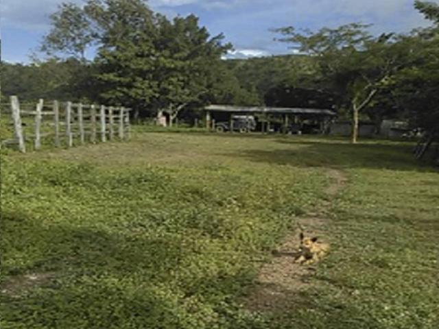 Finca en venta en Guárico