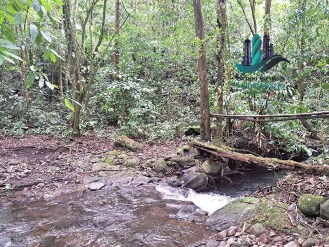 VENDO FINCA DE 2HECTAREAS +7613MTS CON.RIO.Y QUEBRADA