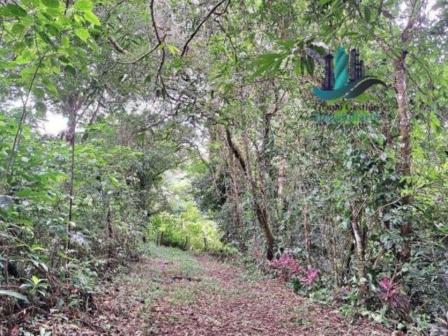 VENDO FINCA DE 2HECTAREAS +7613MTS CON.RIO.Y QUEBRADA