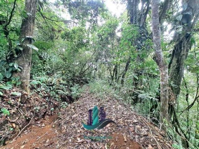 VENDO.FINCA DE 4.5 HECTAREAS BOSQUE CON.RIO