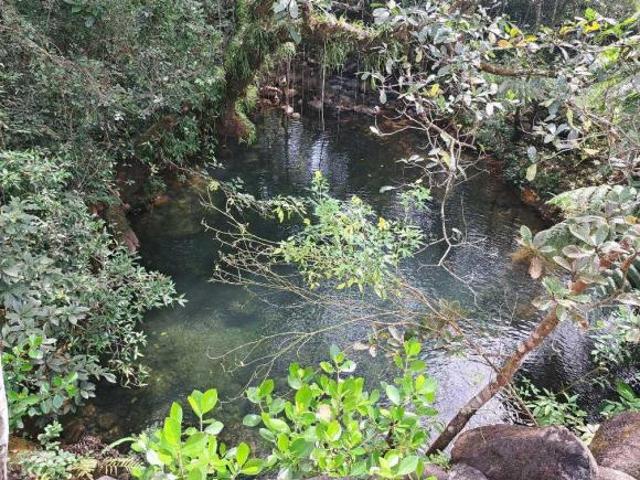 VENDO.FINCA DE 8Ha TOPOGRAFIA PLANA CON QUEBRADA DE AGUA VIVA