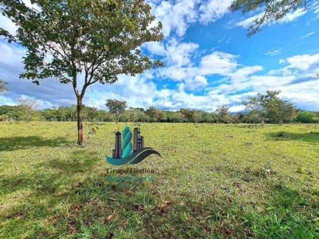 VENDO.FINCA DE 8Ha TOPOGRAFIA PLANA CON QUEBRADA DE AGUA VIVA