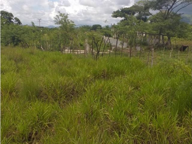 Finca en venta en Los Naranjos, Valencia