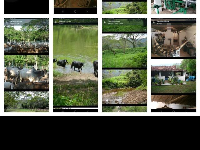 Propiedad en venta en Bejuma, Carabobo