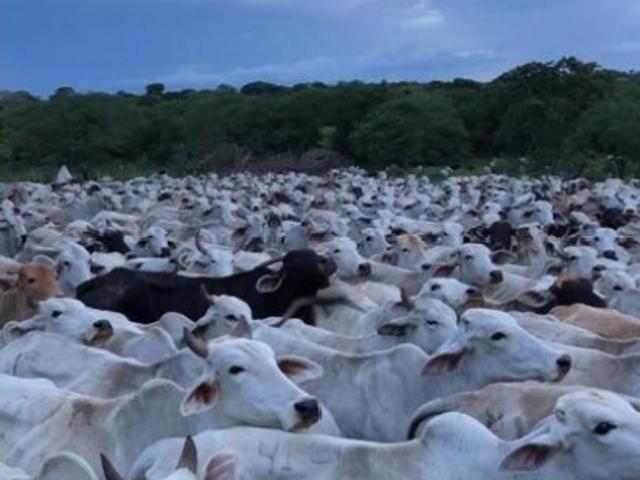 Finca en venta en Cúa, Bolívar