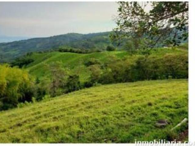 Finca en venta en Guacarí, Valle Del Cauca