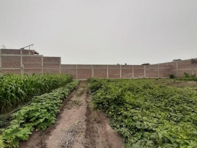 VENDO GRAN TERRENO PLANO EN LURIN 2500m2